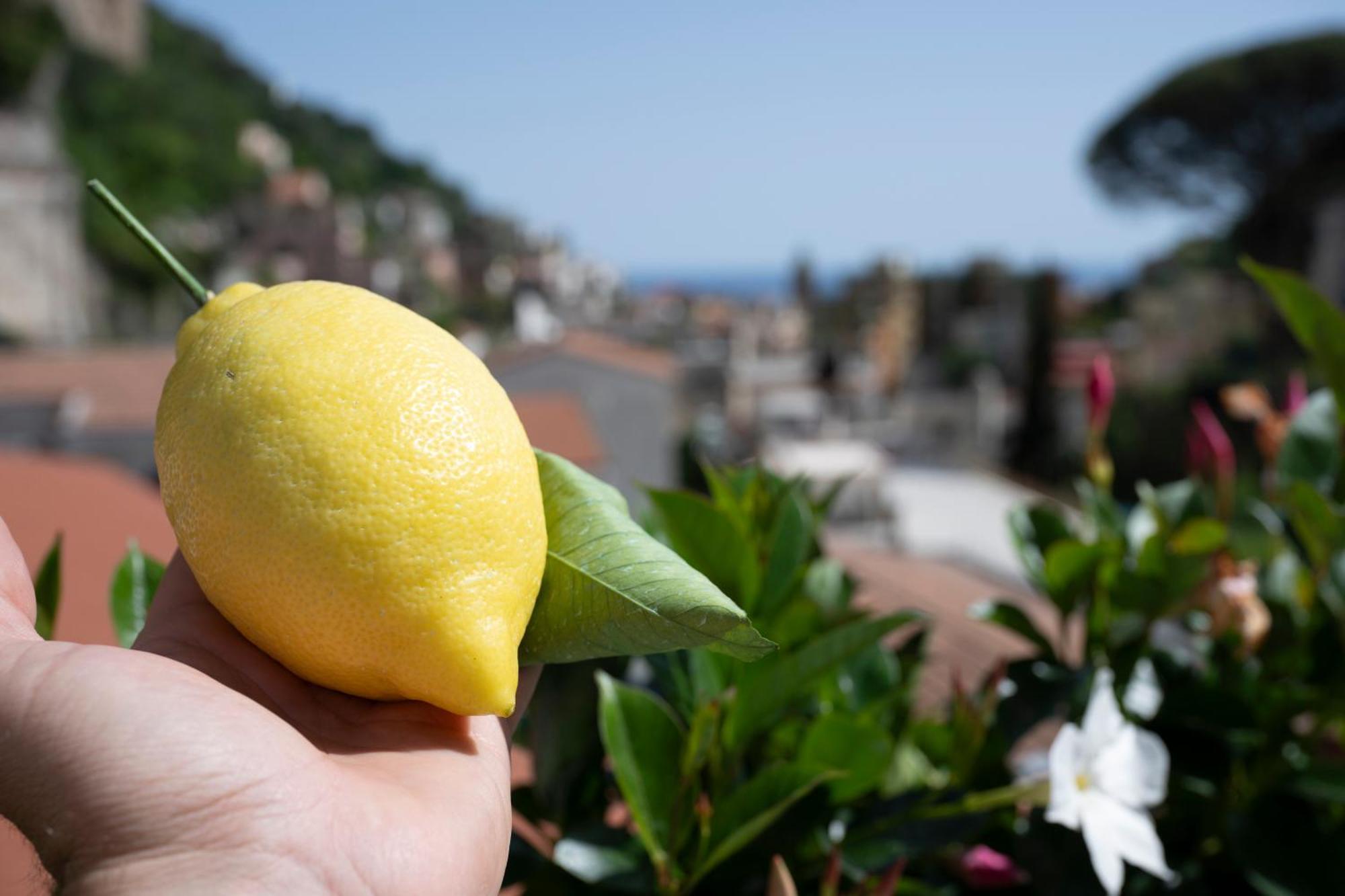 Valle D'Amalfi Suites Bagian luar foto