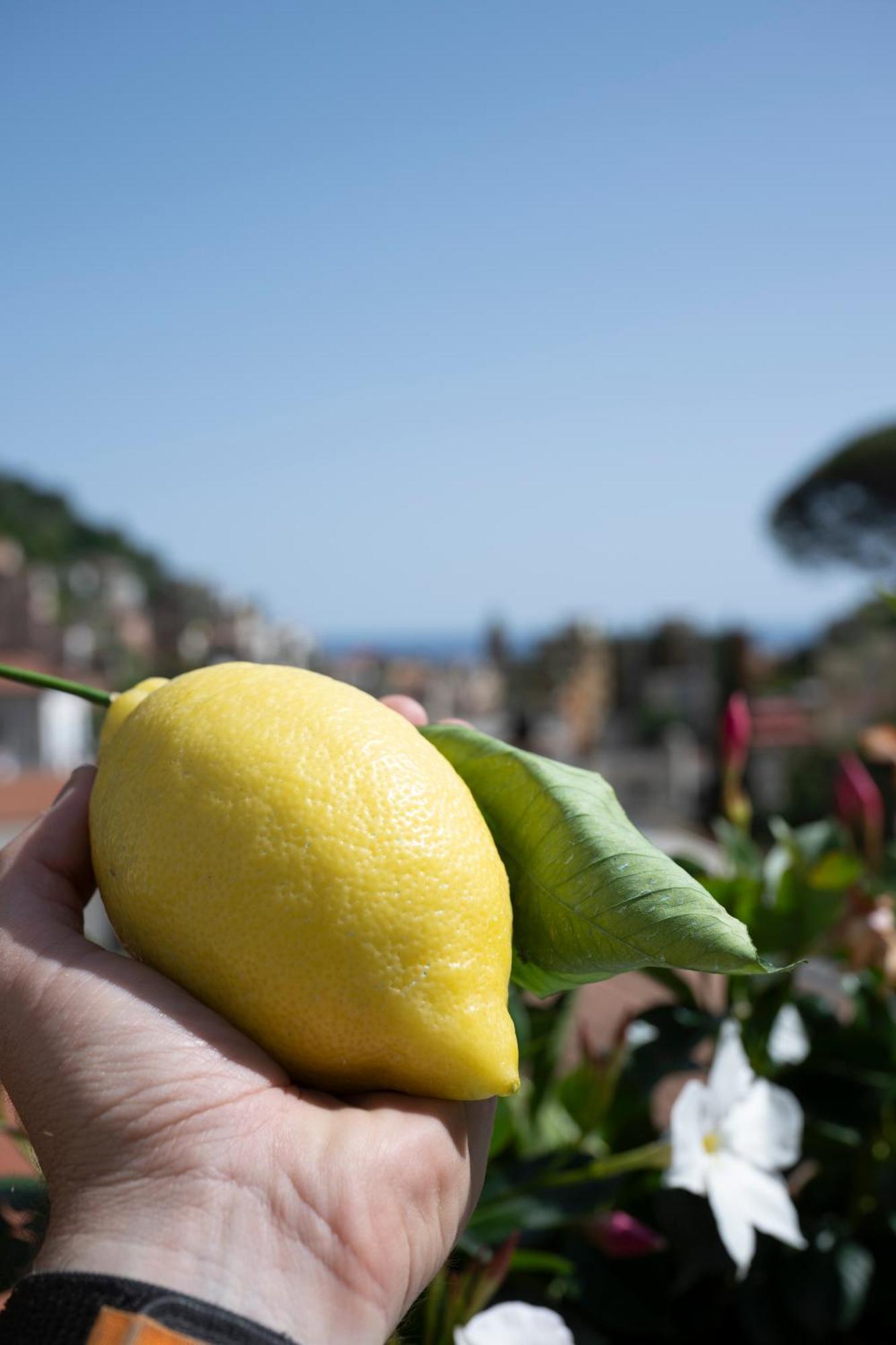 Valle D'Amalfi Suites Bagian luar foto
